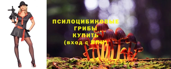 стафф Козельск