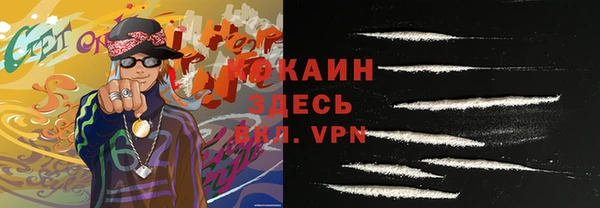 гашик Козловка