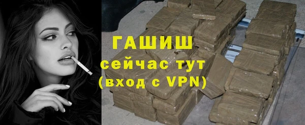 гашик Козловка