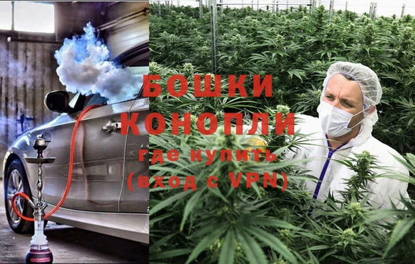 гашик Козловка