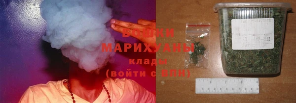 гашик Козловка