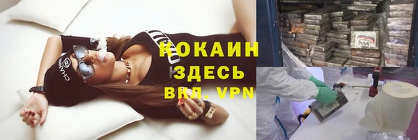 стафф Козельск
