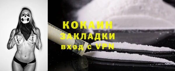 стафф Козельск