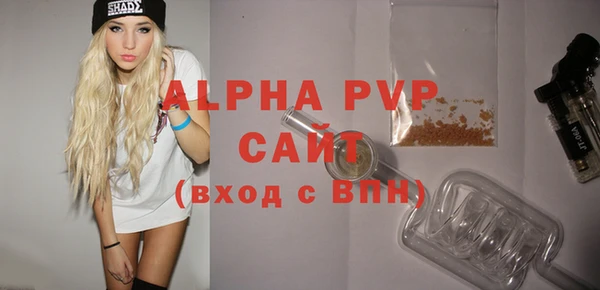 стафф Козельск