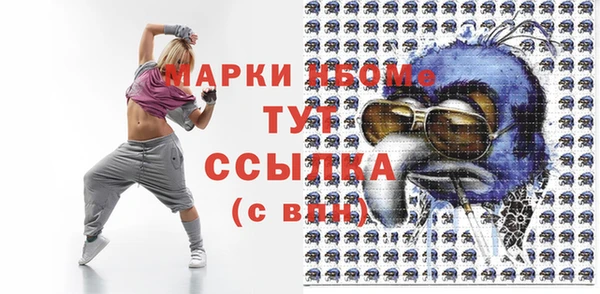 гашик Козловка