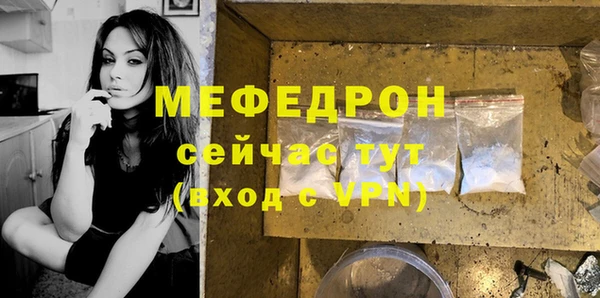 гашик Козловка