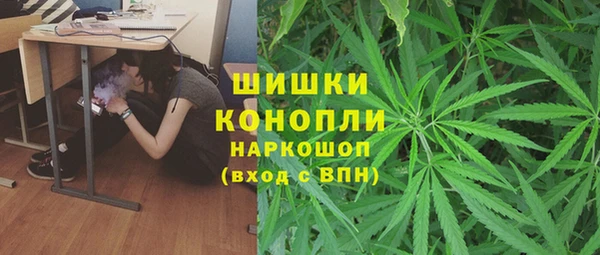 apvp Кодинск