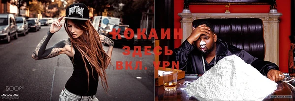 гашик Козловка
