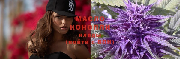 гашик Козловка