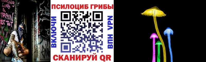 Купить  Константиновск  Галлюциногенные грибы GOLDEN TEACHER 